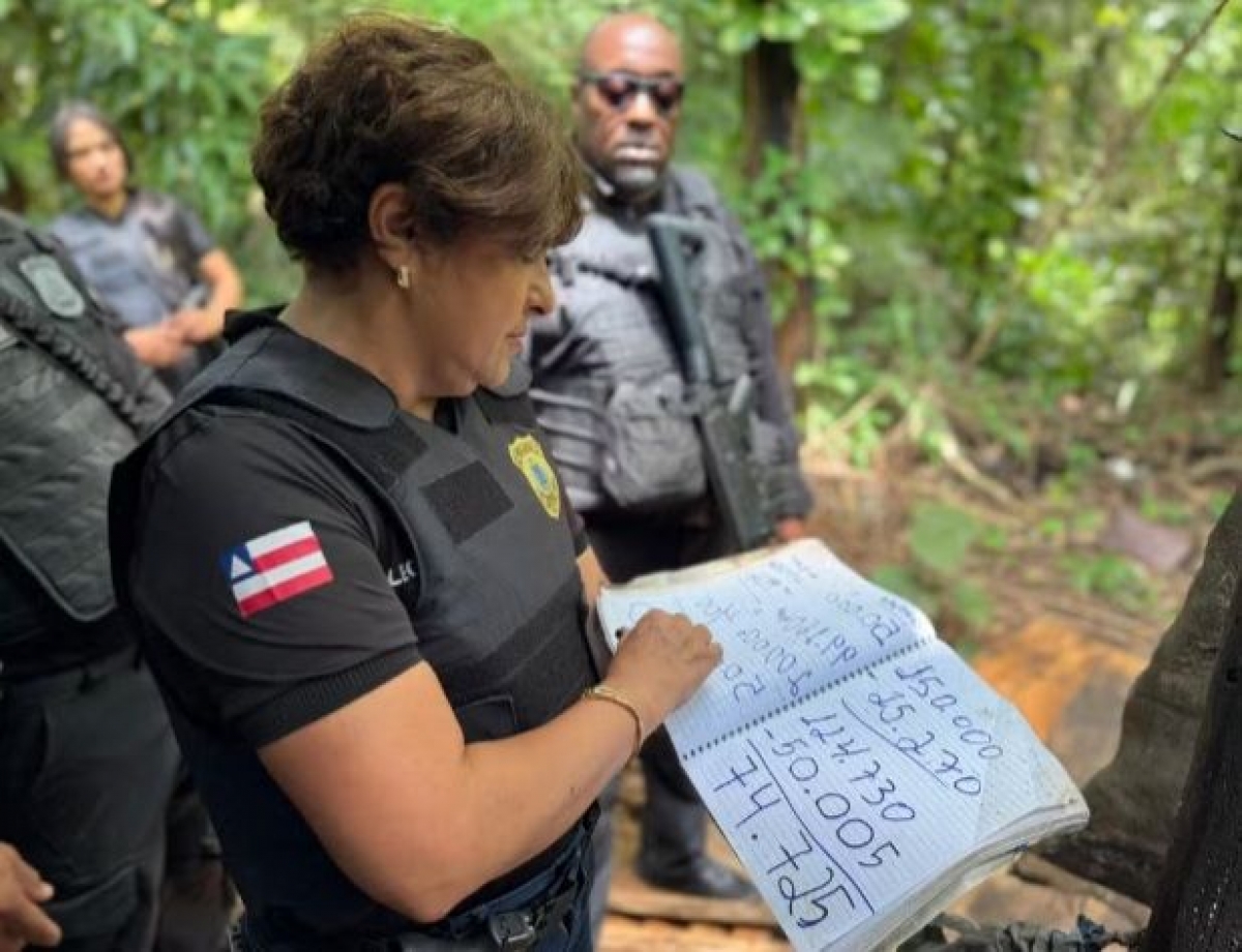 Caseiro preso com arsenal de fuzis em sítio na Bahia tem prisão mantida pela Justiça — imagem 2